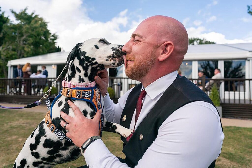dog ring bearer kissing the groom at Cheshire wedding venue
